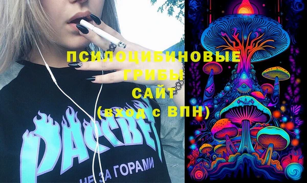 Альфа ПВП Алзамай