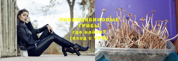 2c-b Абдулино