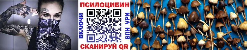 Галлюциногенные грибы мухоморы  Дно 
